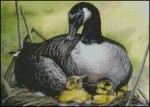 (image for) Mother Goose